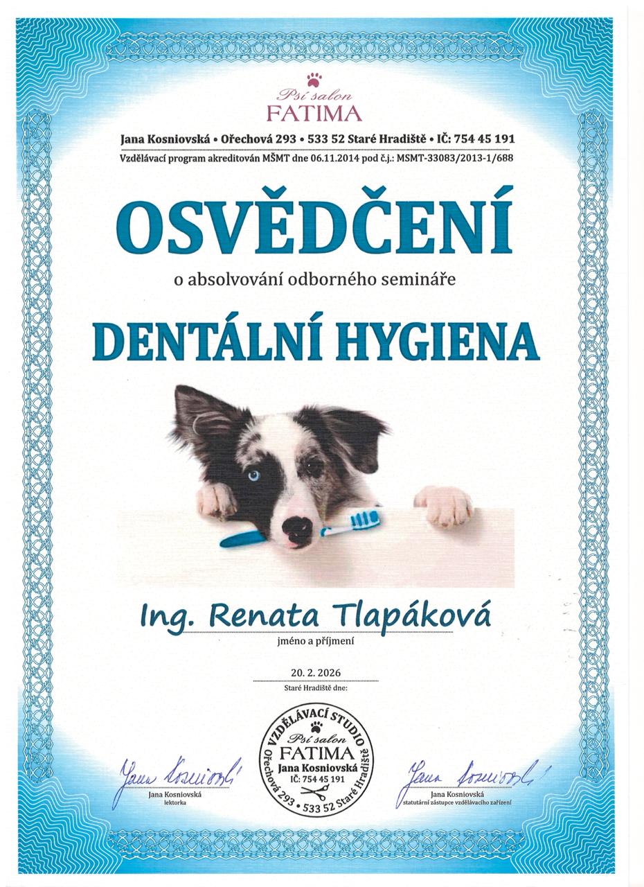 Osvědčení – Dentální hygiena
