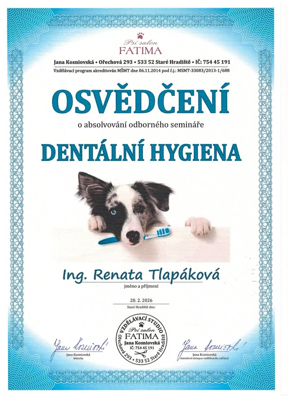 Osvědčení – Dentální hygiena