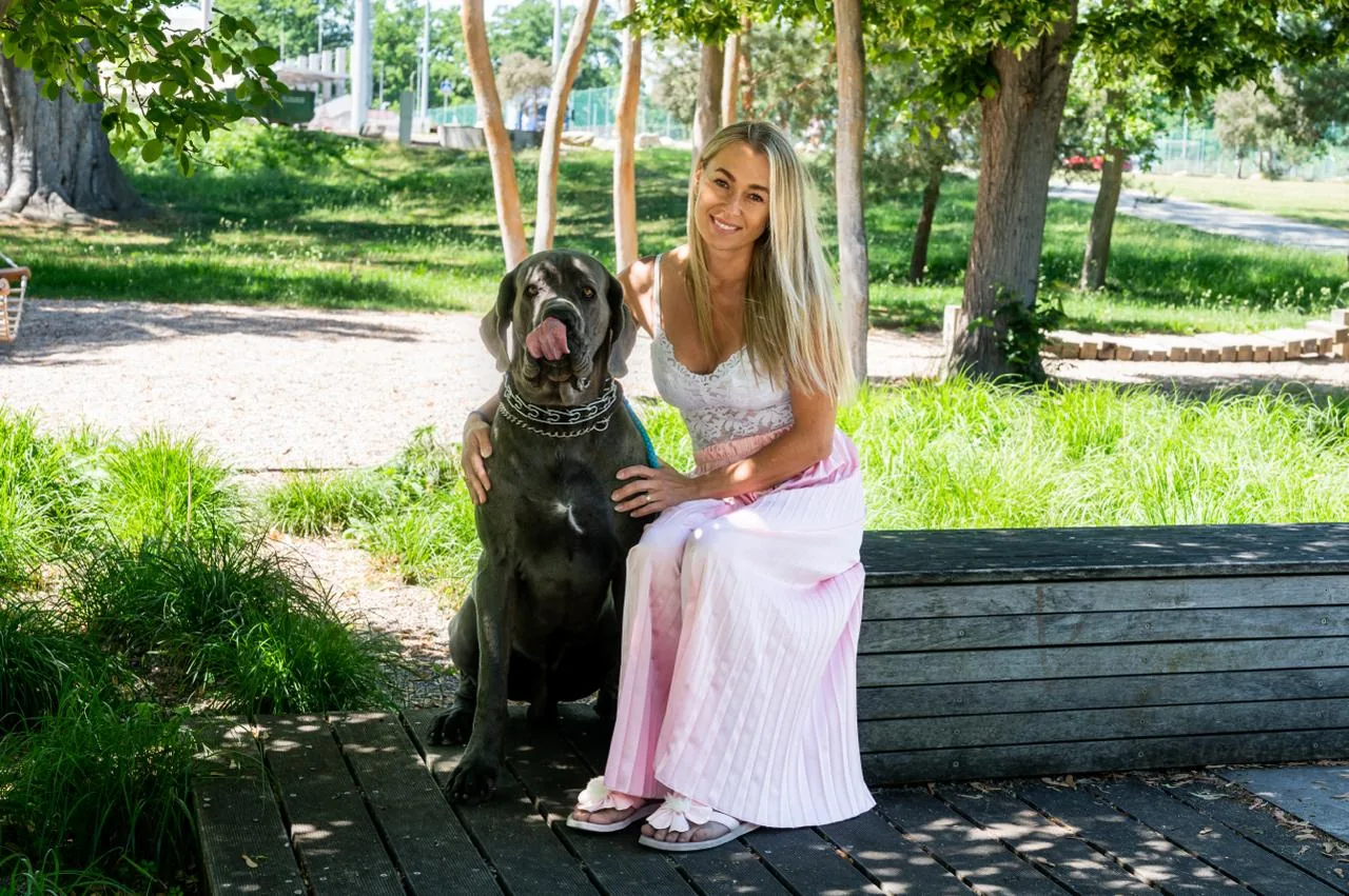 Psí salon Navi